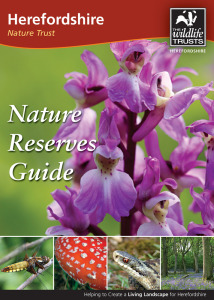 Reserve Guide cover