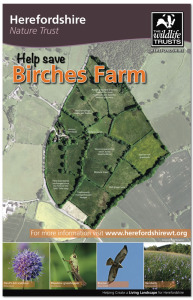 Birches Farm panel