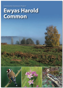 Ewyas Harold Common guide book