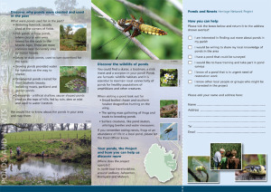 Pond and Newts Project leaflet (inside)