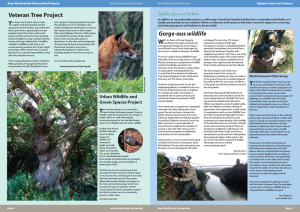 AWT Biodiversity Review (spread)